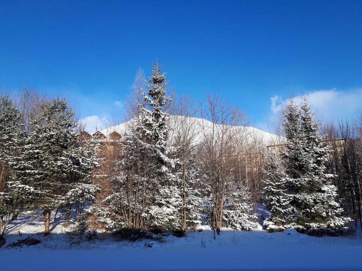 Mariana Apartment Vysoke Tatry